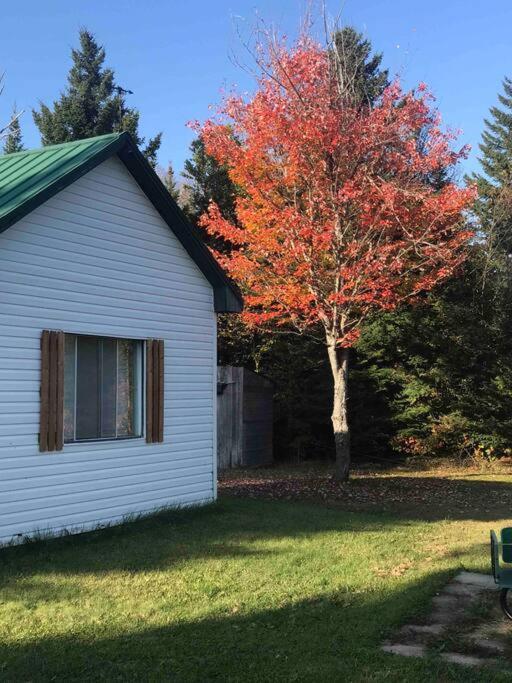 Le Jazz- Chalet Rustique/Chic Avec Spa Notre-Dame-Des-Bois Dış mekan fotoğraf