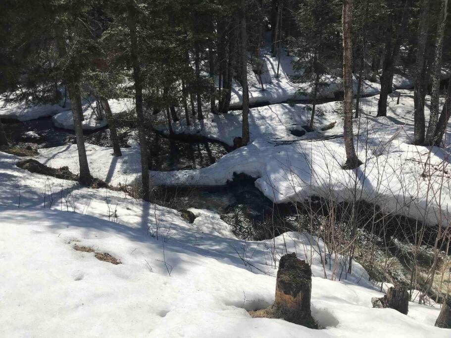 Le Jazz- Chalet Rustique/Chic Avec Spa Notre-Dame-Des-Bois Dış mekan fotoğraf