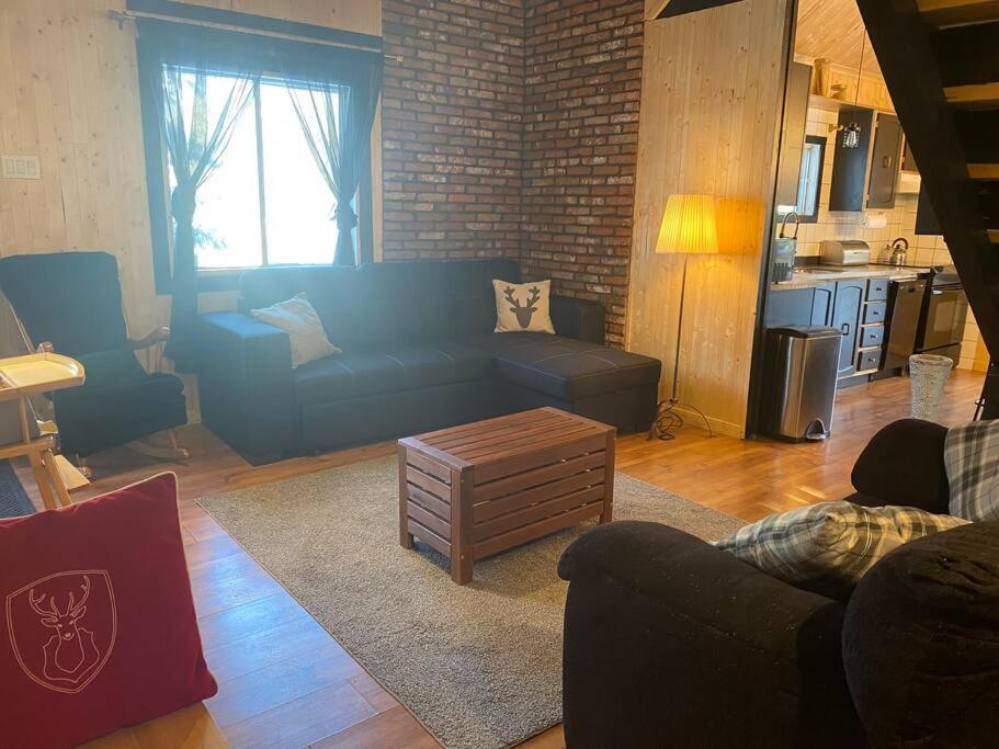 Le Jazz- Chalet Rustique/Chic Avec Spa Notre-Dame-Des-Bois Dış mekan fotoğraf